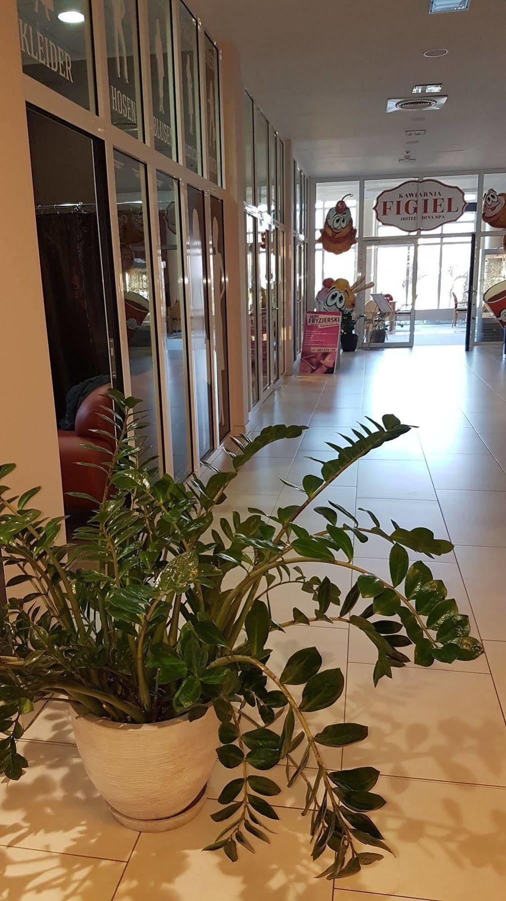 Apartamenty Diva كولوبرزيغ المظهر الخارجي الصورة